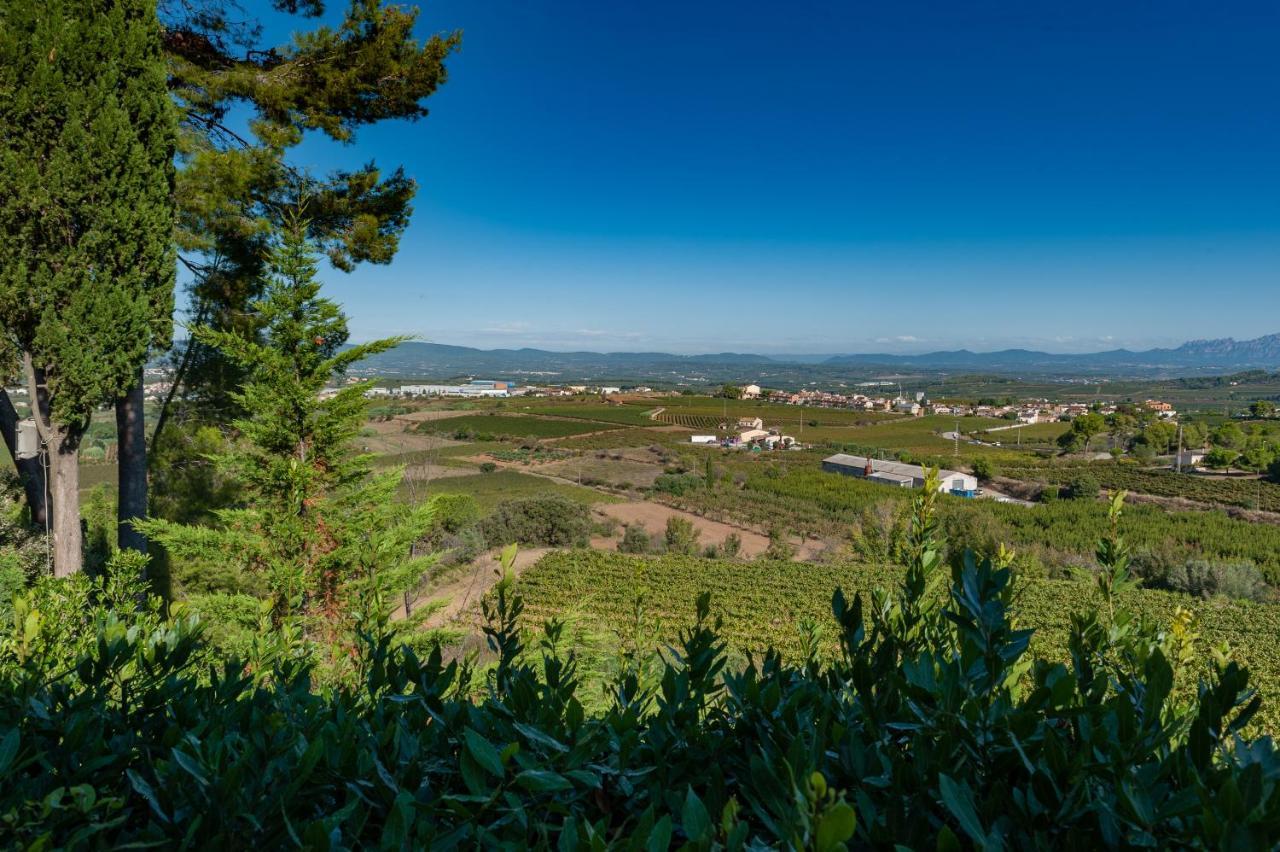 Cal Mestre Casa Rural Avinyonet del Penedes ภายนอก รูปภาพ